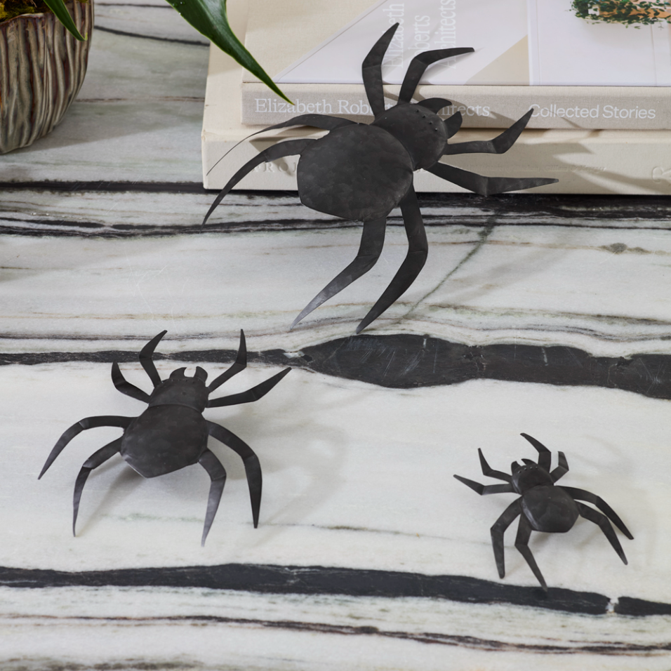 Black Wall Spiders