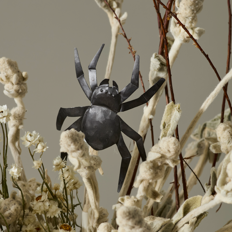 Black Wall Spiders