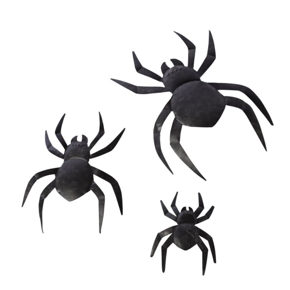 Black Wall Spiders